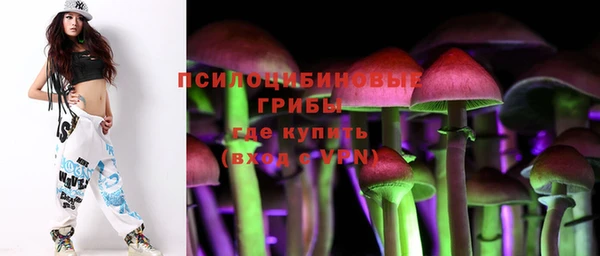 дмт Аркадак