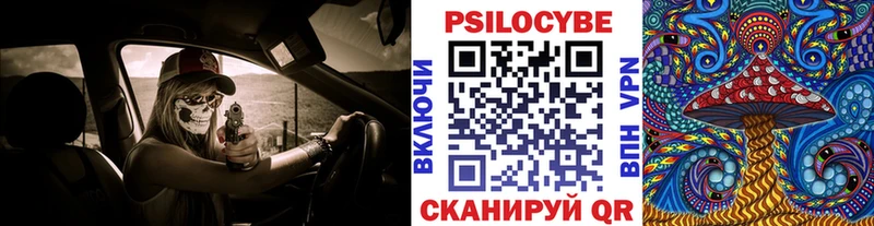 Псилоцибиновые грибы прущие грибы Багратионовск