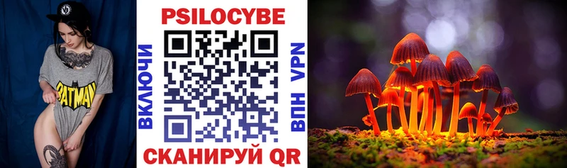 Псилоцибиновые грибы GOLDEN TEACHER  Багратионовск 